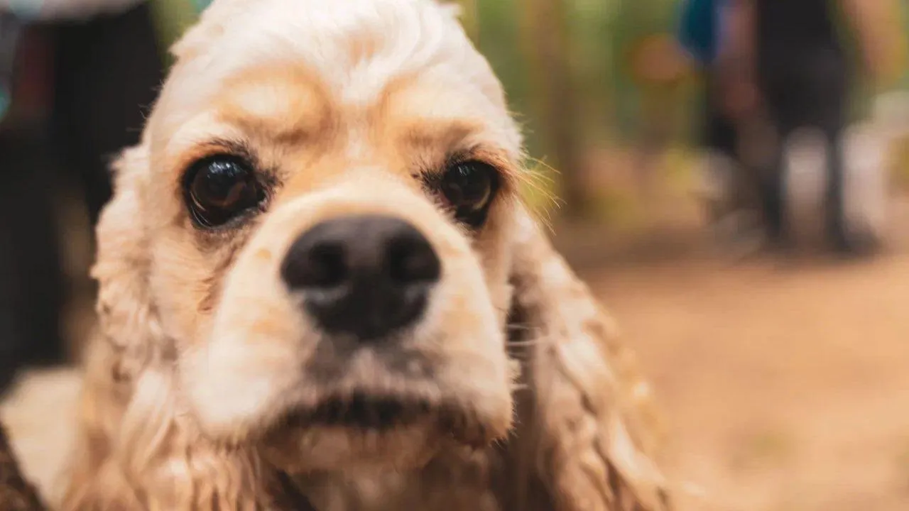 REGIONS/Наталья Надточая