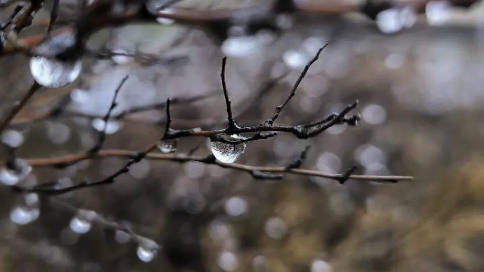 Фото: REGIONS/Роман Малышенко