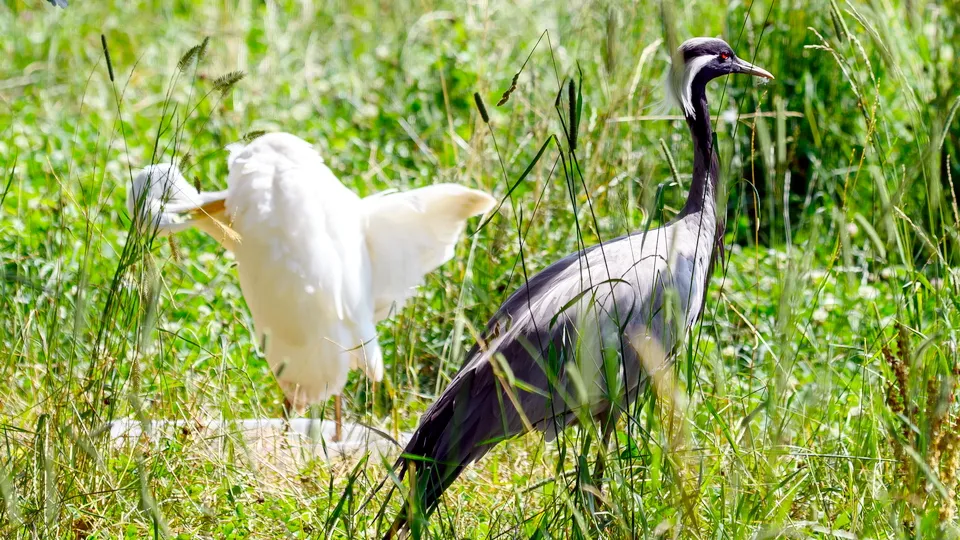 Фото: медиасток.рф