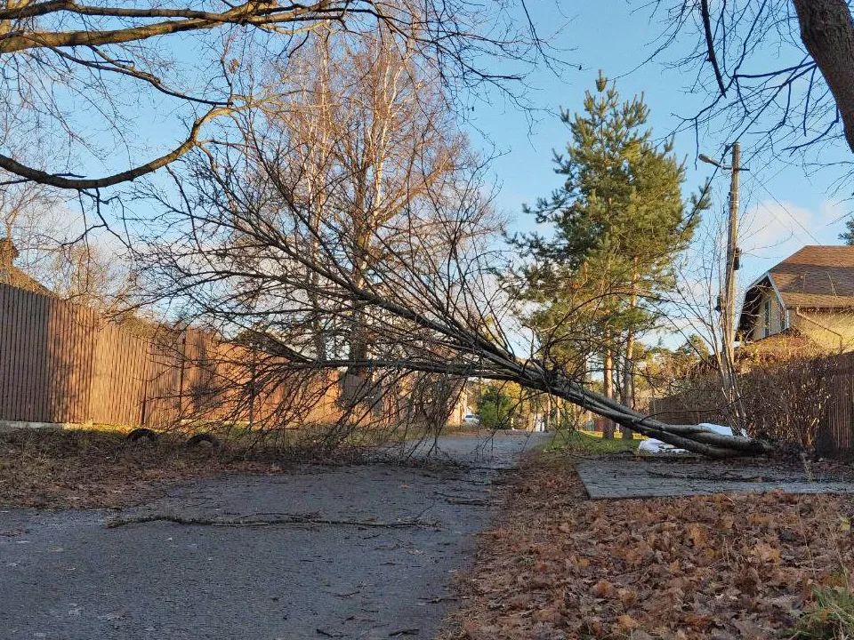 Фото: Наталья Бычкова<br>