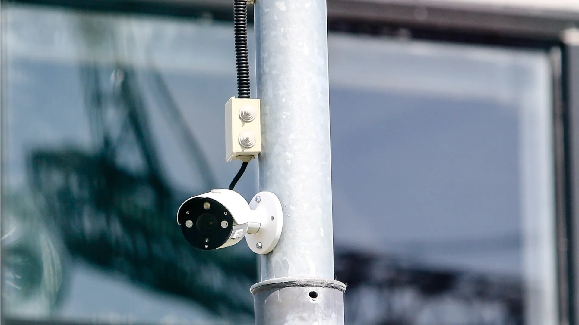 Фото: пресс-служба администрации г. о. Кашира