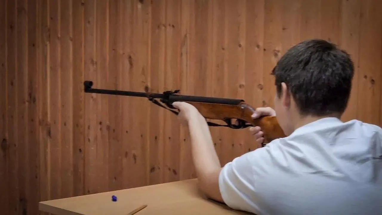 МедиаБанк Подмосковья/Ольга Антонова