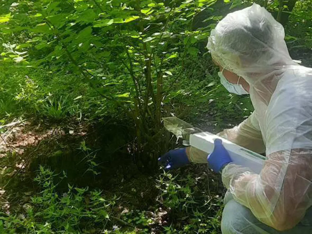 Фото: Министерство сельского хозяйства и продовольствия Московской области