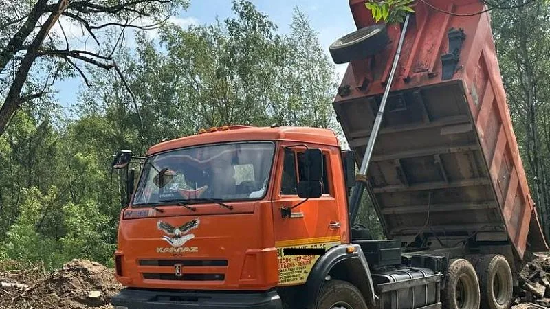 Фото: Пресс-служба министерства экологии и природопользования Московской области