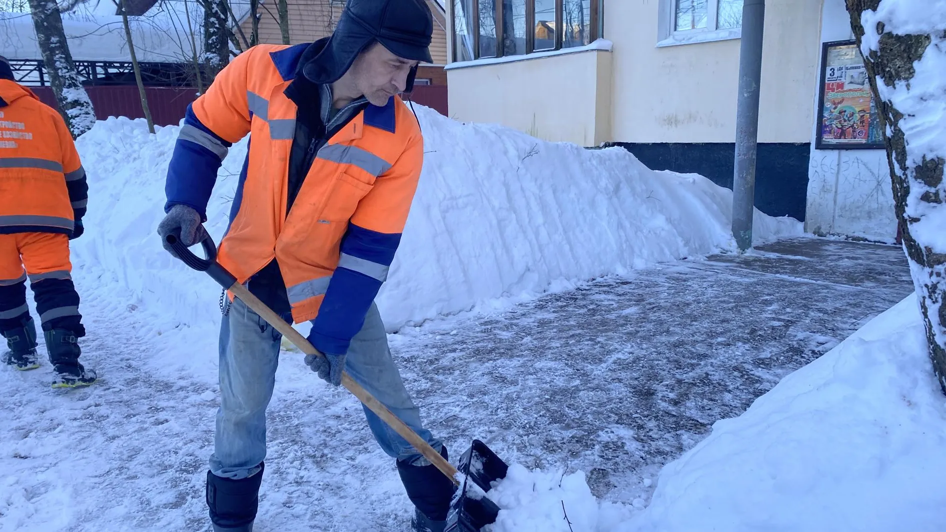 Анна Артюшина