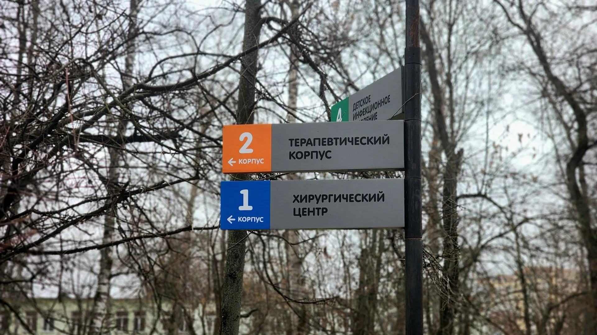 МедиаБанк Подмосковья/Мария Овчинникова