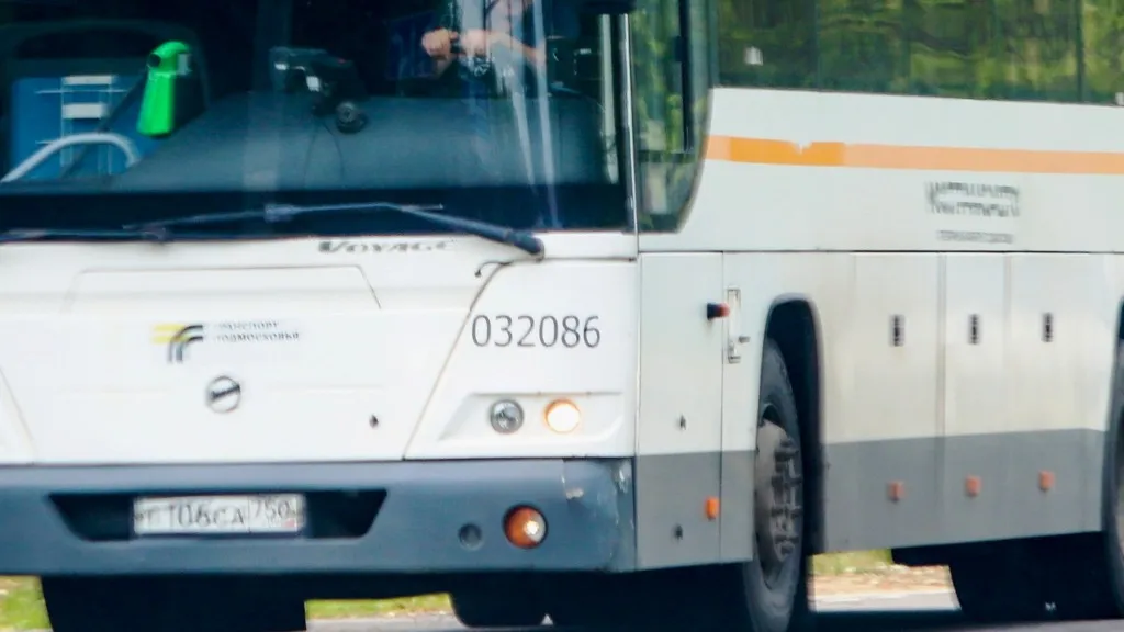 Фото: Владимир Лебедев