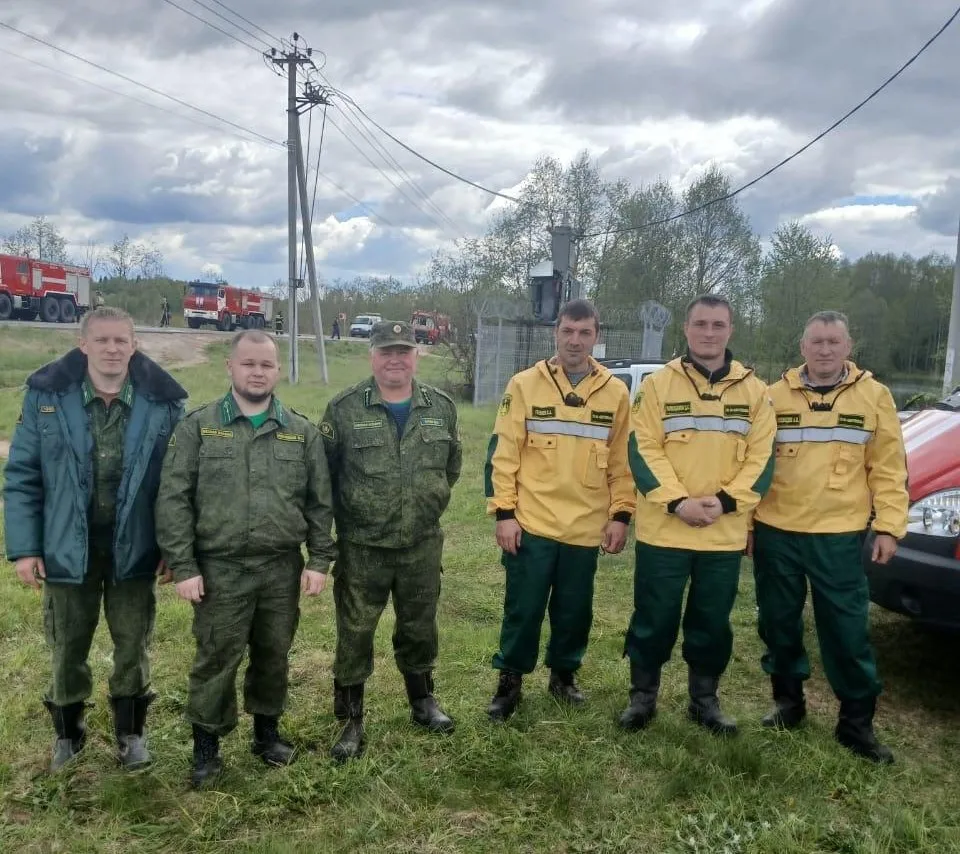 Фото: Комитет лесного хозяйства Московской области