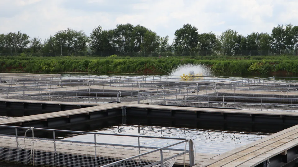 Фото: МедиаБанк Подмосковья/Ирина Матвеева