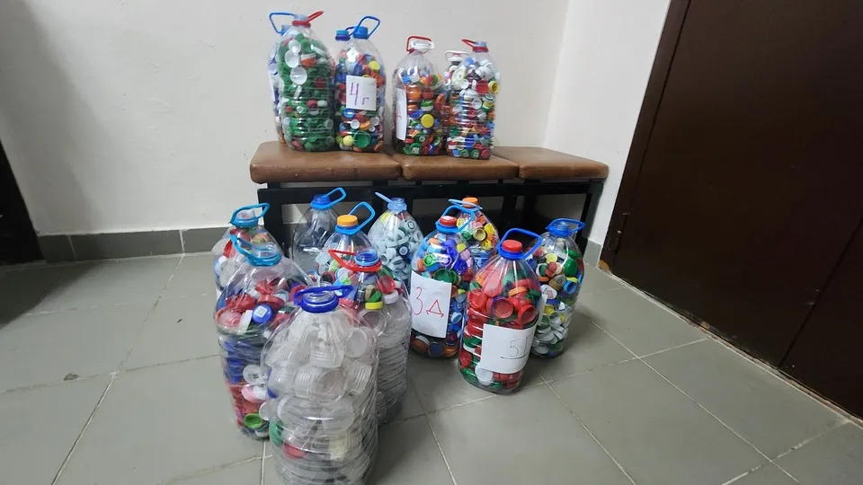 Фото: МедиаБанк Подмосковья/Екатерина Мелкозерова