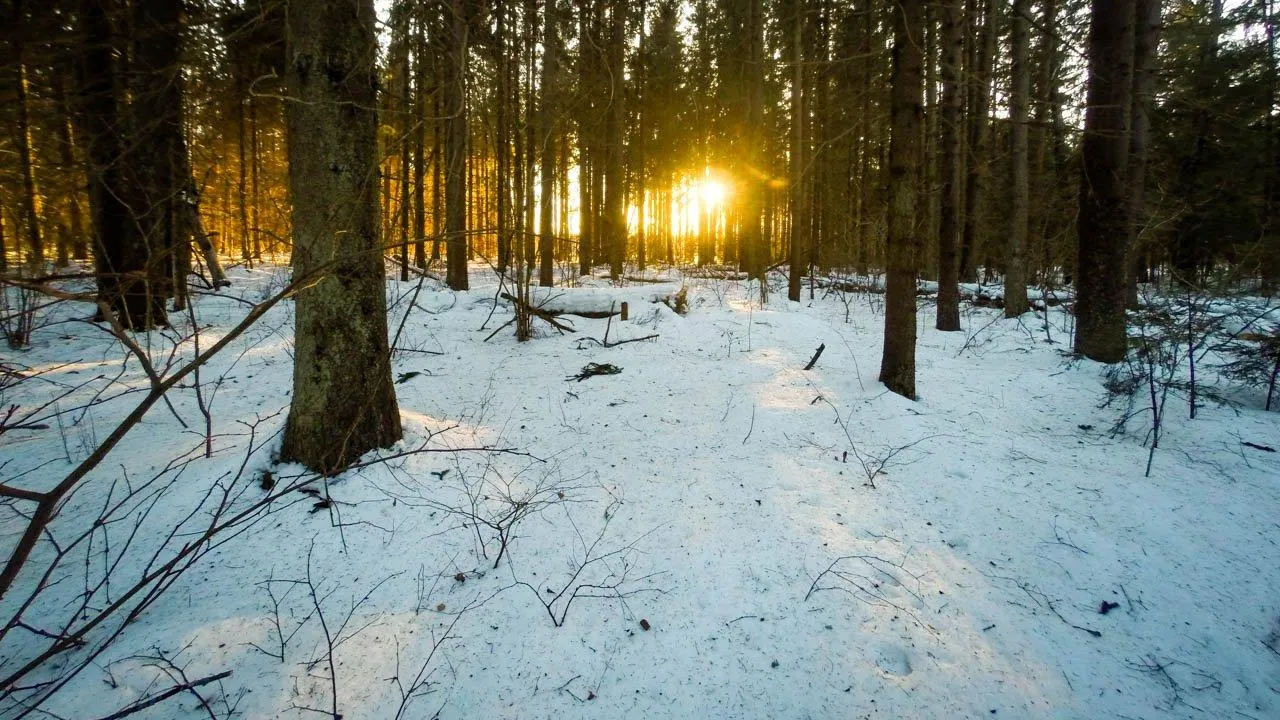 REGIONS/Владимир Ерастов