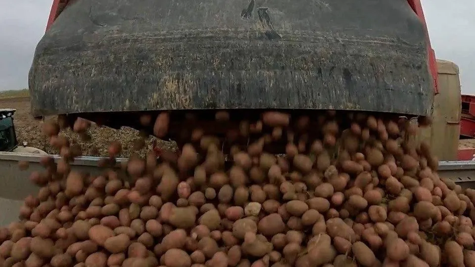 Фото: пресс-служба администрации г.о. Клин