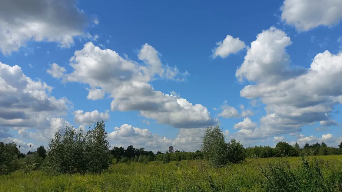 Фото: Олег Книжник