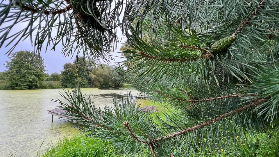 Фото: REGIONS/Елена Фурман