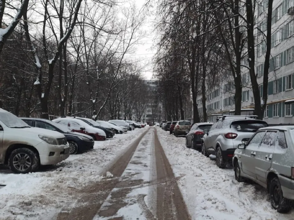 Фото: пресс-служба администрации г. о. Черноголовка<br>