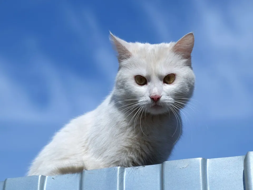 Фото: медиасток.рф&nbsp;