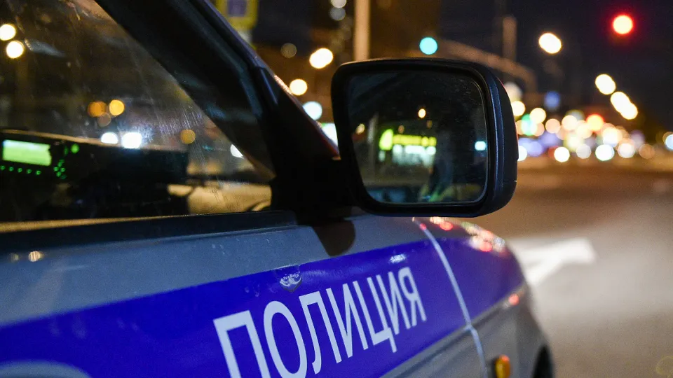 Фото: Медиаархив Подмосковья