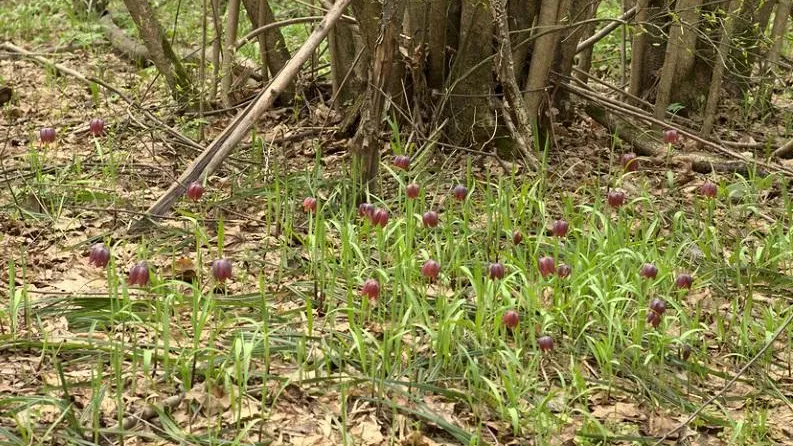 Фото М. Серебряного