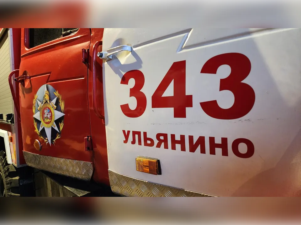 Фото: МедиаБанк Подмосковья/Ольга Антонова