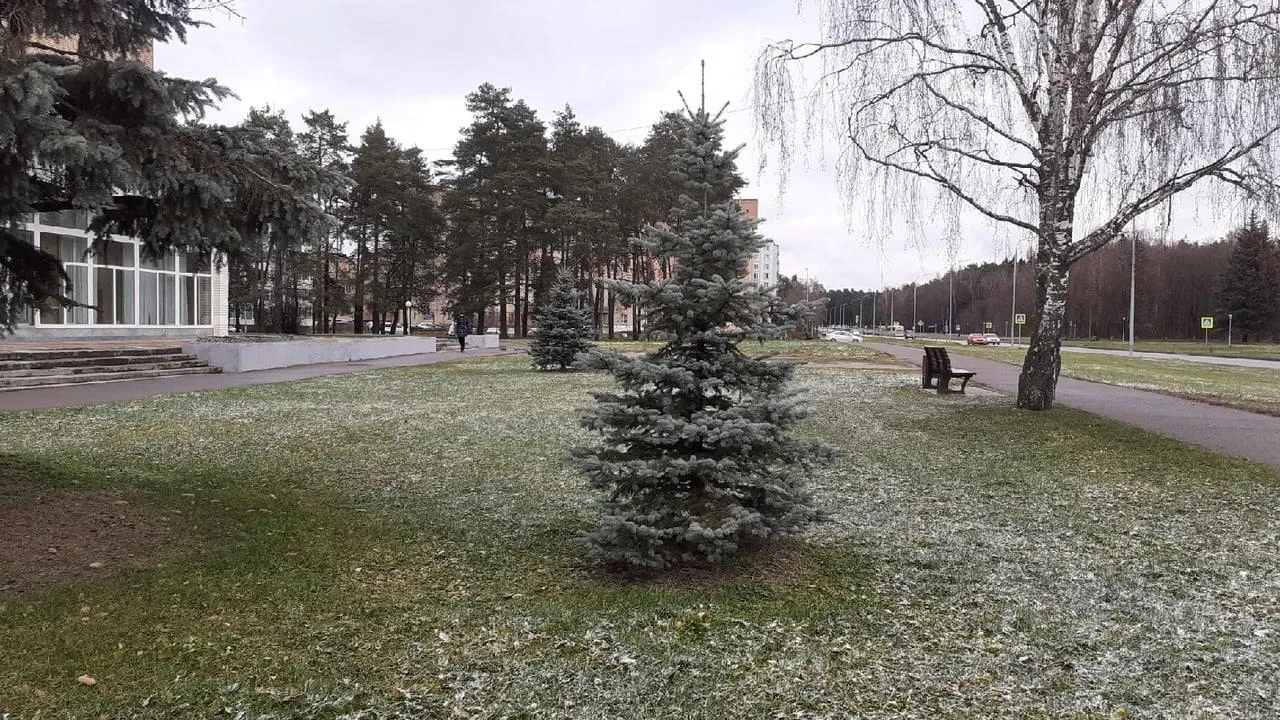 Фото: соцсети