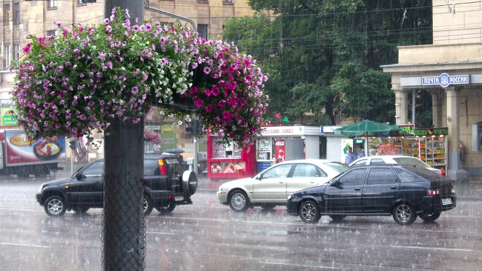 Фото: Дмитрий Кравцов