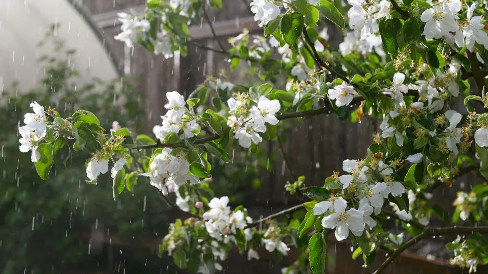 Фото: istockphoto.com