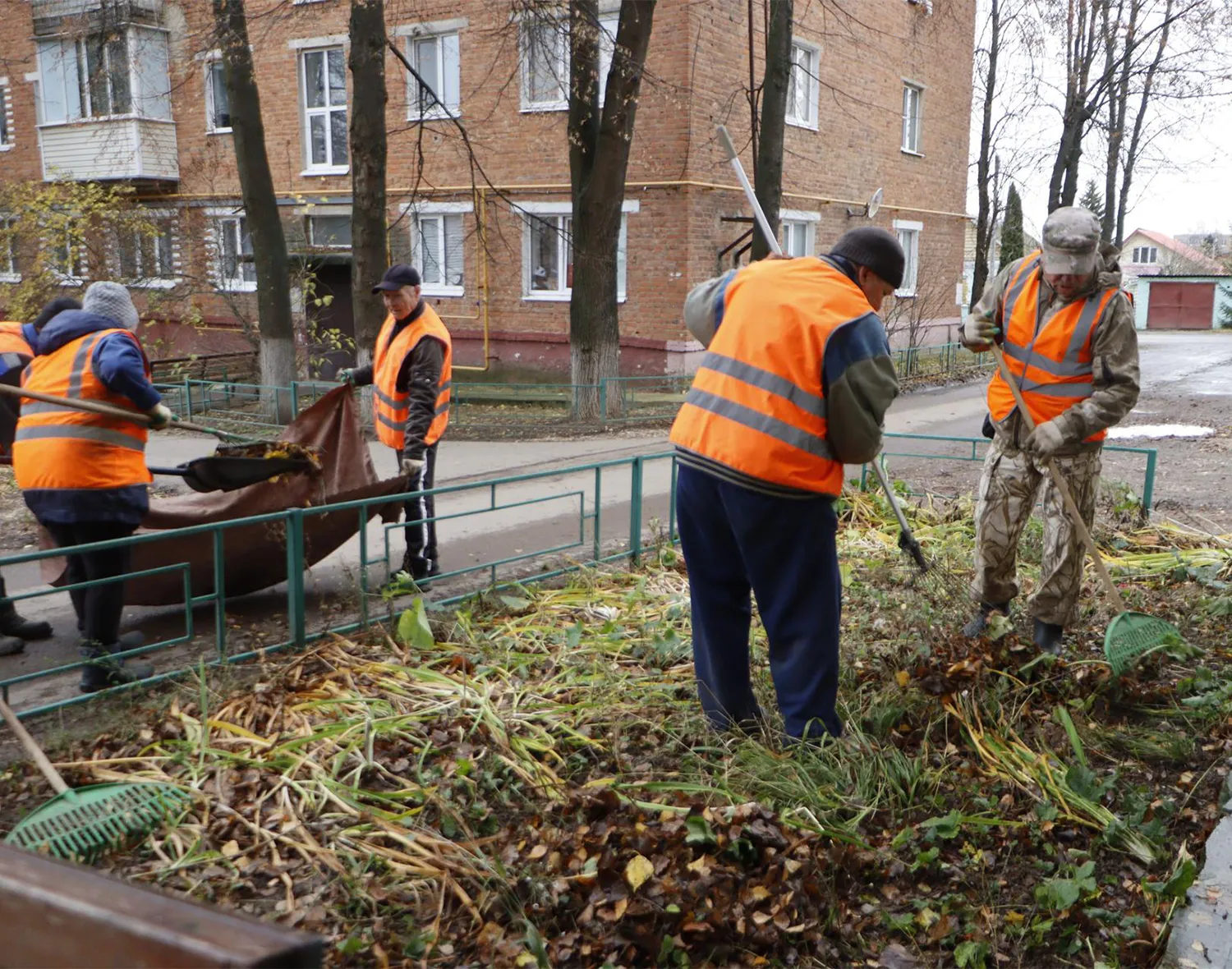 Фото: МедиаБанк Подмосковья/Татьяна Кострикина