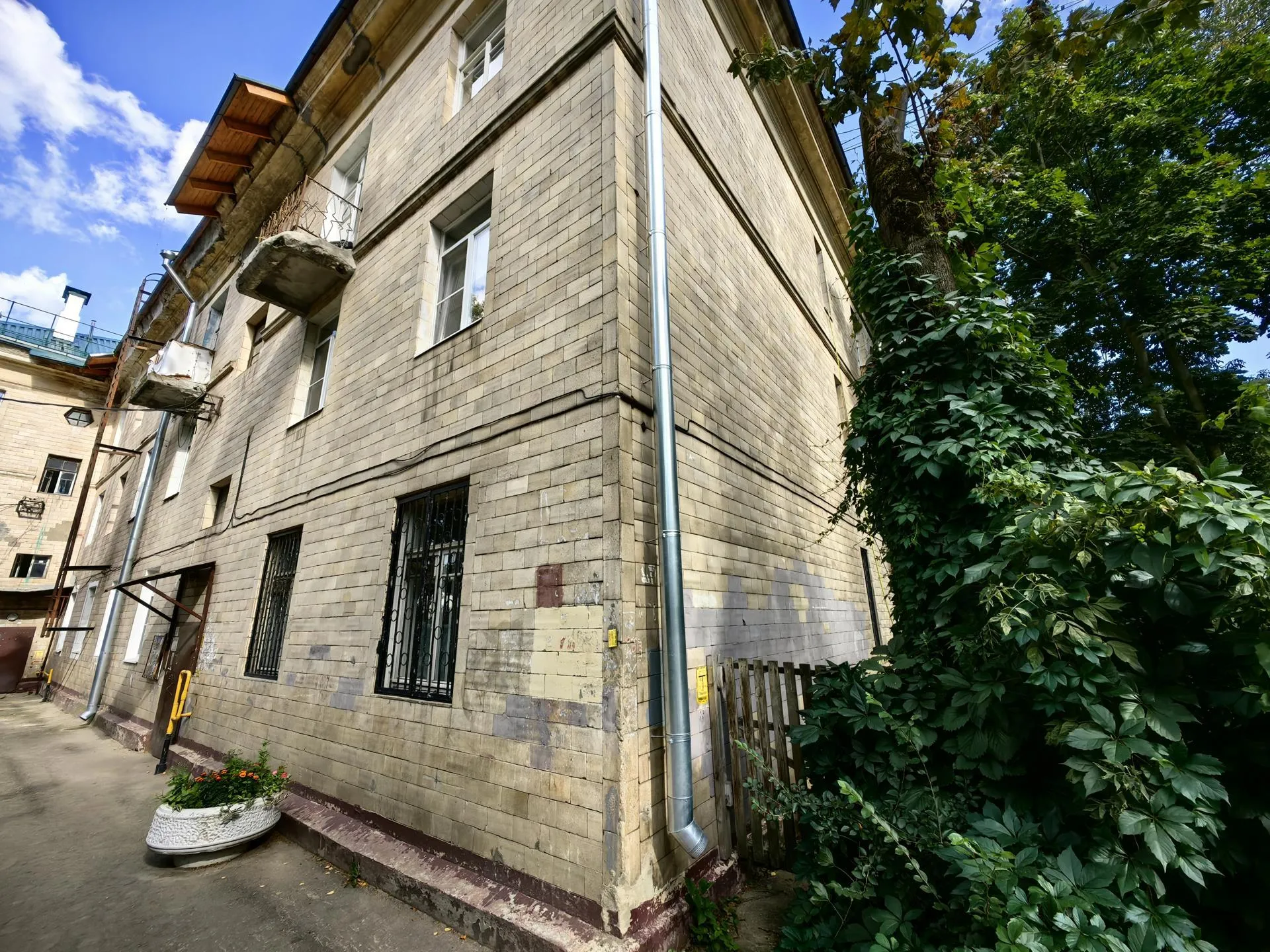 Елена Катасонова