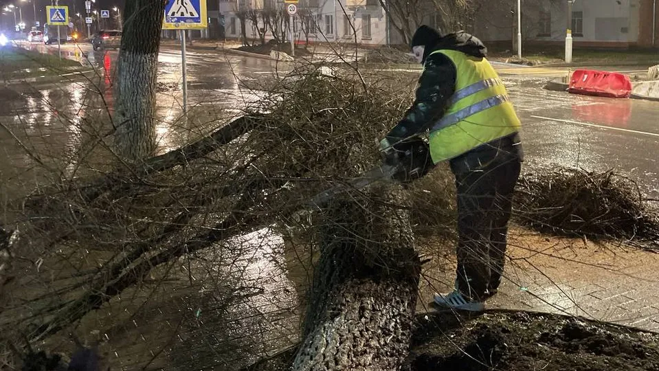 Фото: пресс-служба администрации г.о. Лыткарино