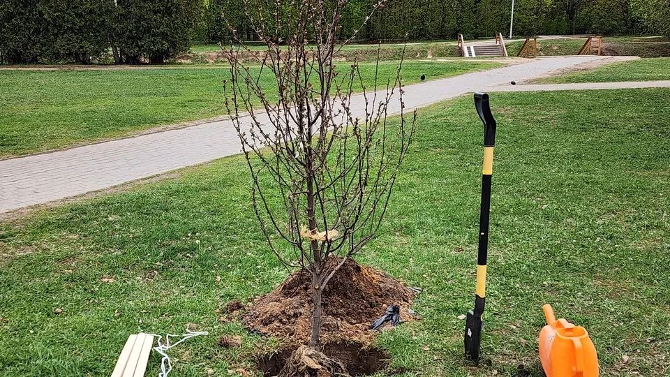 Фото: Роман Савельев