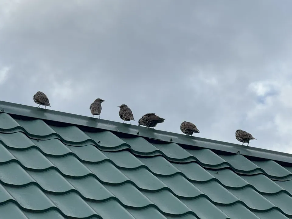 Фото: REGIONS/Илья Попов