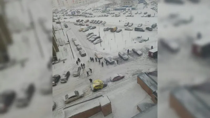 Десанты дворников заполонили дворы Химок