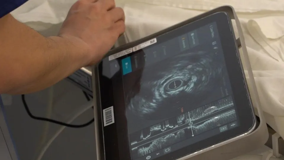 Фото: пресс-служба администрации муниципального округа Егорьевск