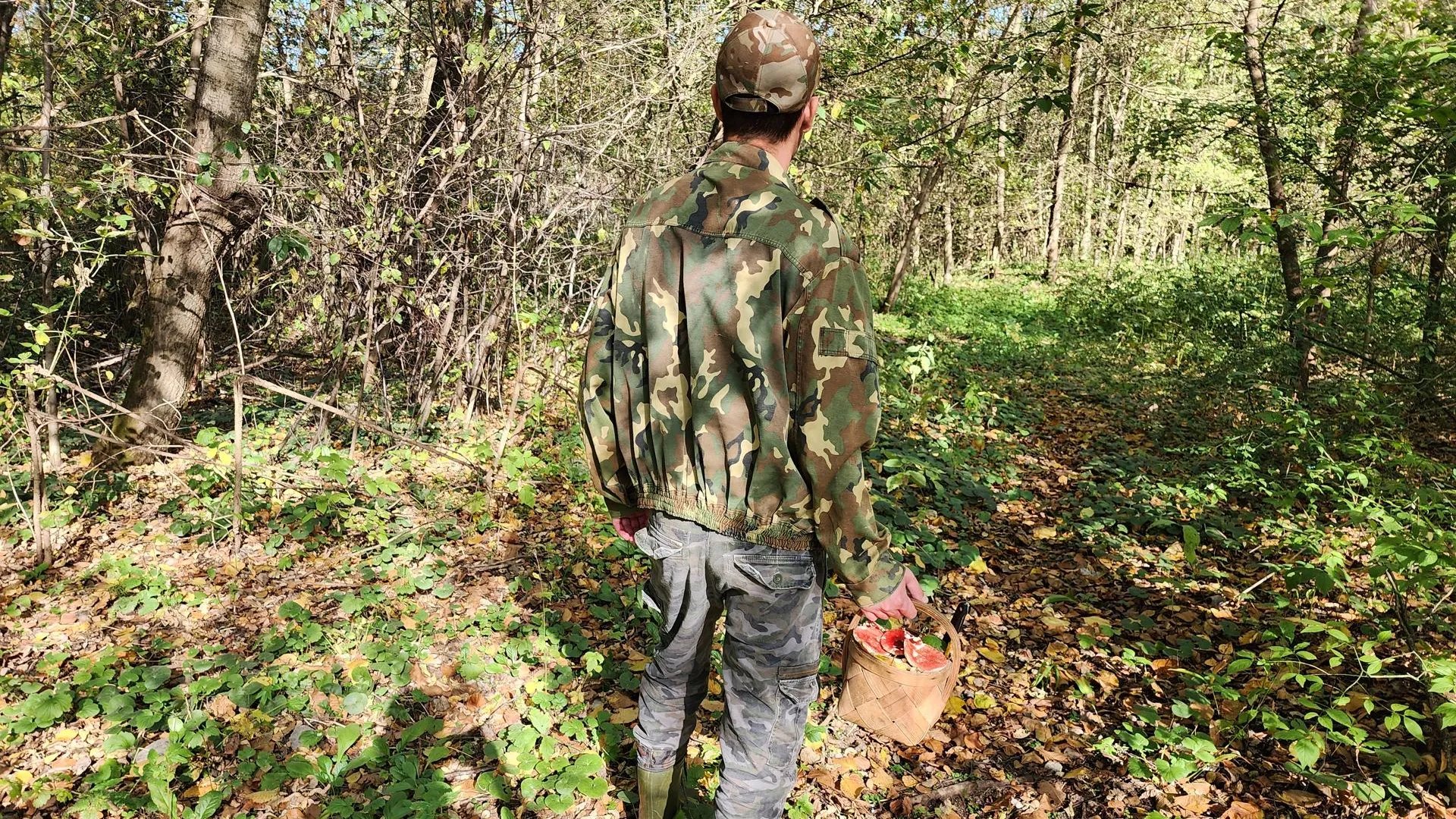 Источник: Александр Степушкин