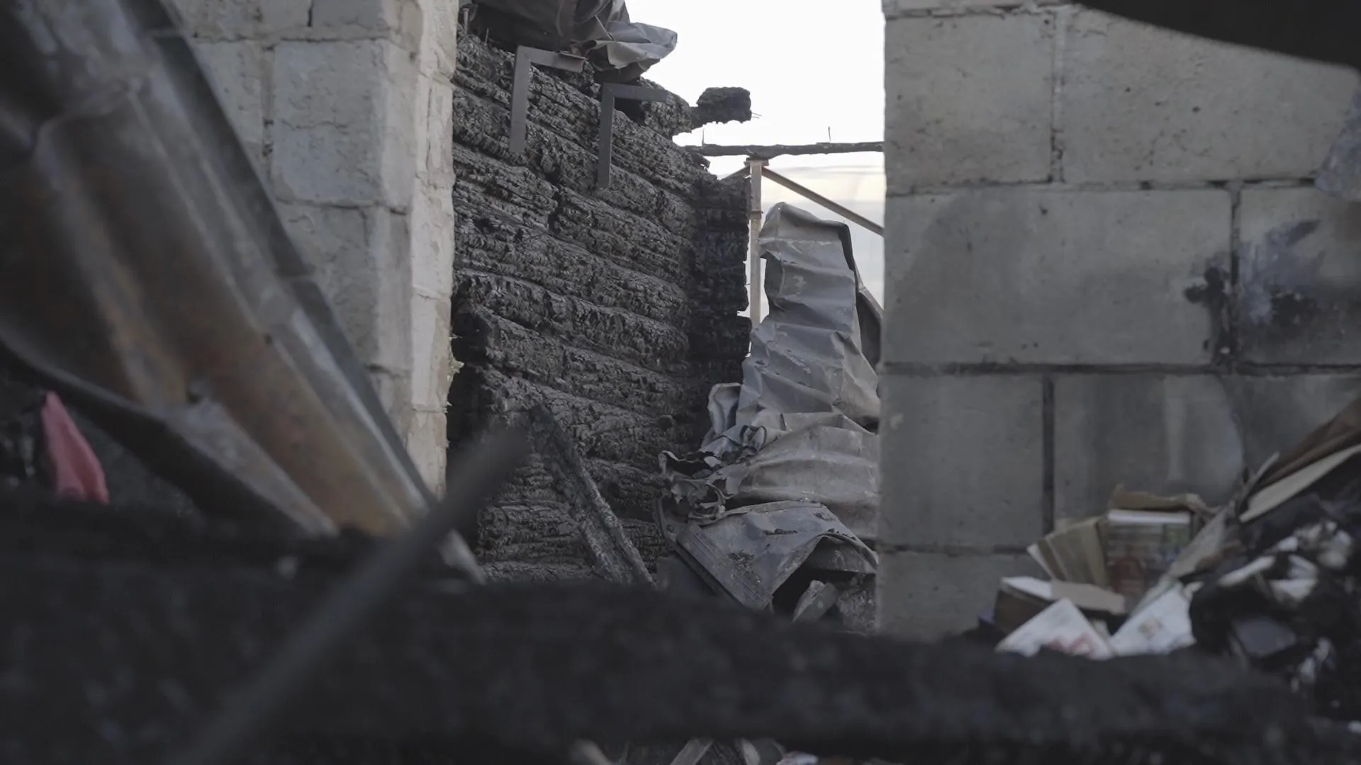 МедиаБанк Подмосковья/Мария Бороданёва