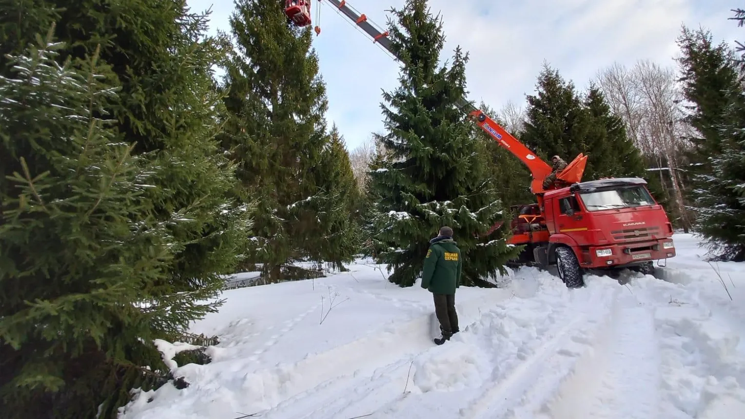 Комитет лесного хозяйства