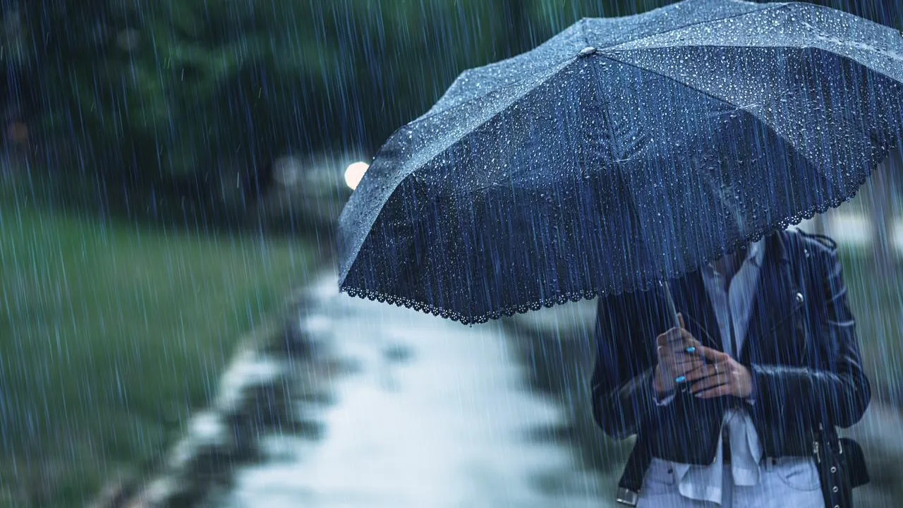 istockphoto.com