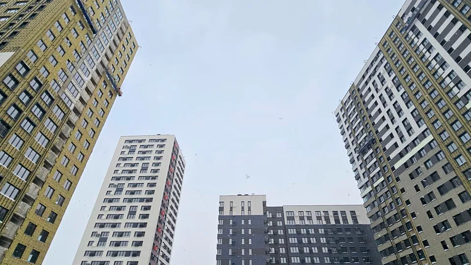 Фото: МедиаБанк Подмосковья/Вероника Горбачева