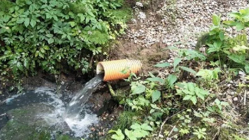 Минэкологии МО.