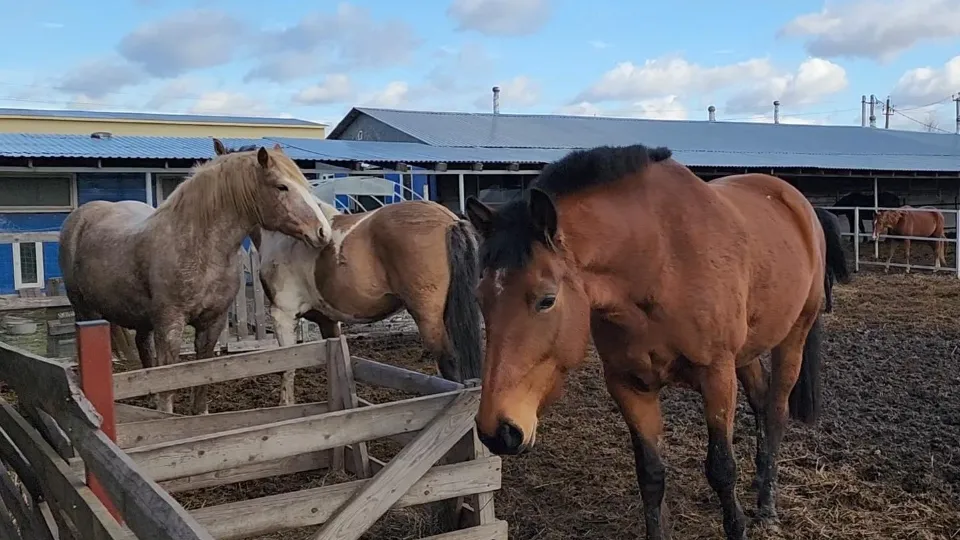 Фото: Ольга Антонова