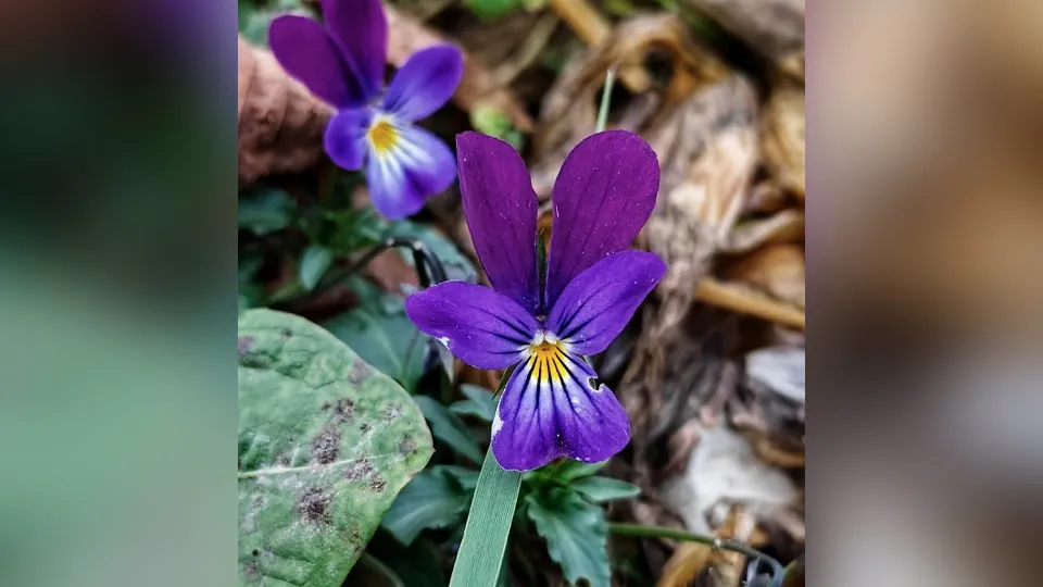 Фото: из архива Ольги Илюшиной