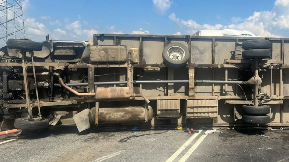 Фото: пресс-служба полиции МО