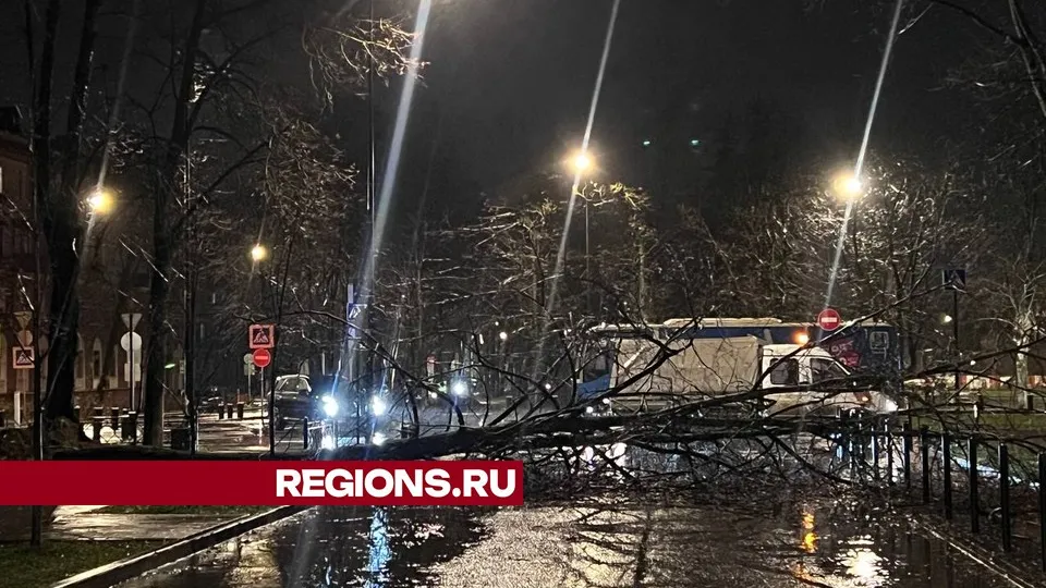 Фото предоставлено жителем Жуковского