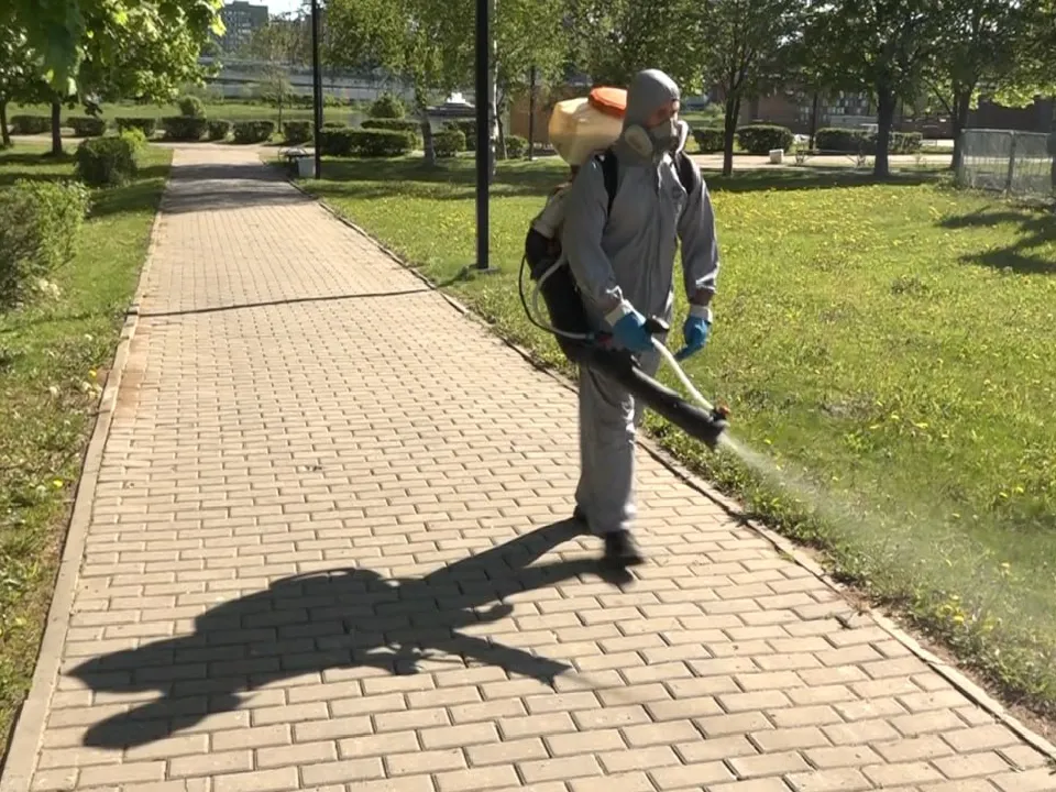 Фото: телеканал «Дубна»&nbsp; &nbsp; &nbsp; &nbsp; &nbsp;