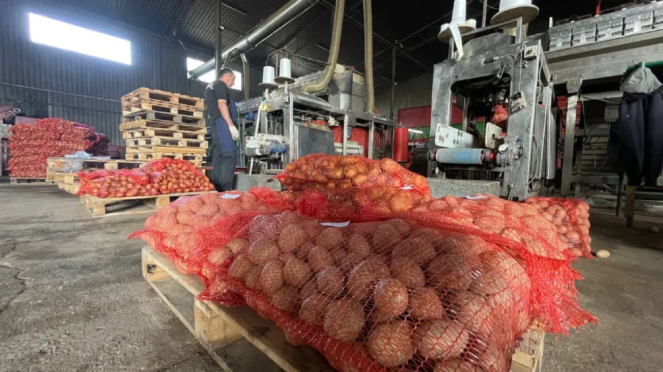 Фото: МедиаБанк Подмосковья/Рой Евгений Александрович