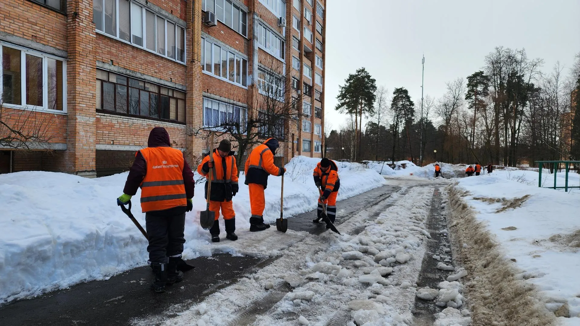 REGIONS/Анна Мороз