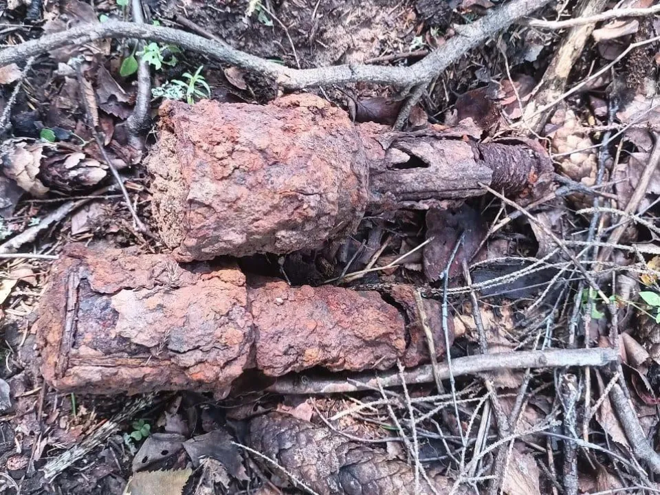 Фото: ГКУ МО «Мособлпожспас»