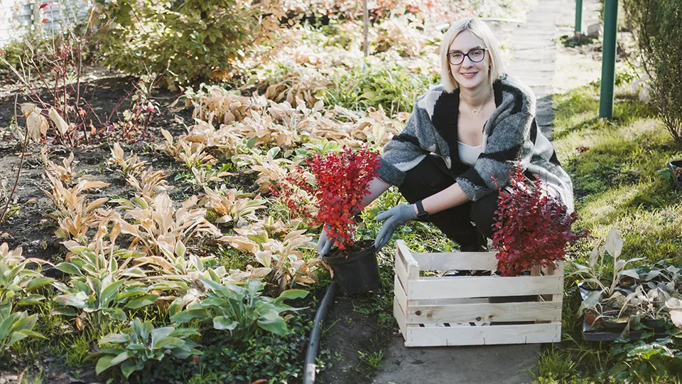 Фото: freepik.com