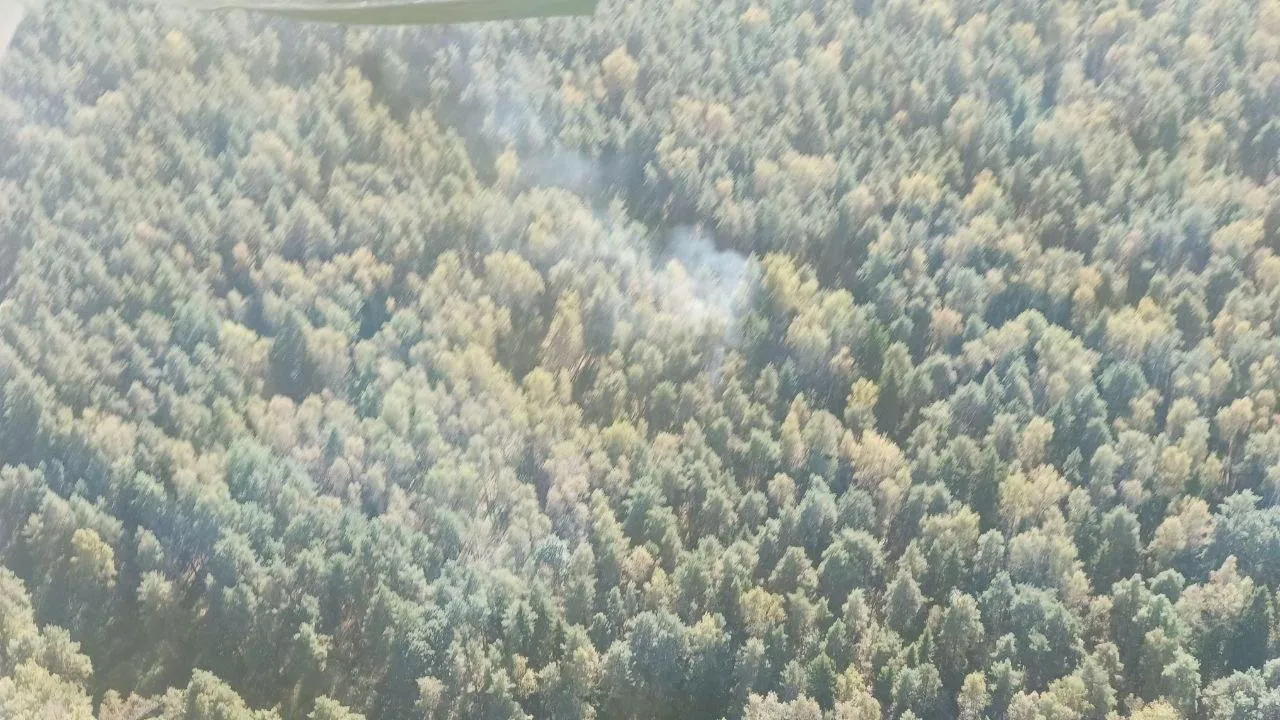 Лесной пожар ликвидировали в Раменском