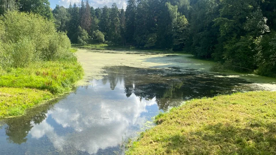 Фото: МедиаБанк Подмосковья/Елена Аботурова